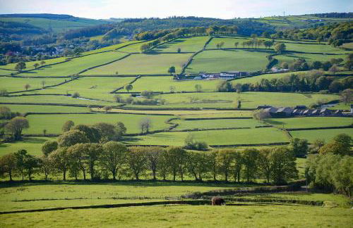 Coedmor Cottages - Foto 3