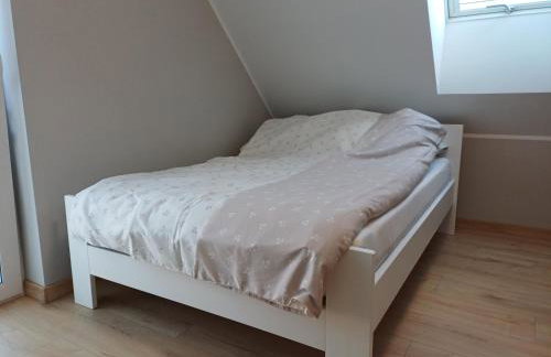 Willa Przygoda - Photo 46