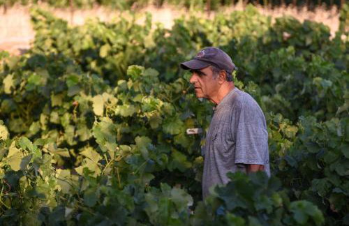 K vineyard house - Foto 6