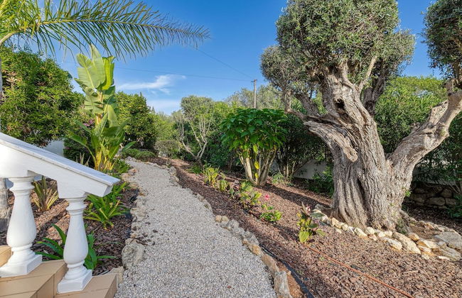 Toupeira Wonderful Well Furnished Villa - Foto 33