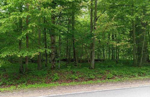 Dom na wsi u Kasi HAJNÓWKA BIAŁOWIEŻA NA WYŁĄCZNOŚĆ - Foto 46