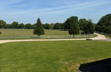 Fallow View - Luxury Countryside Cottage - Photo 11