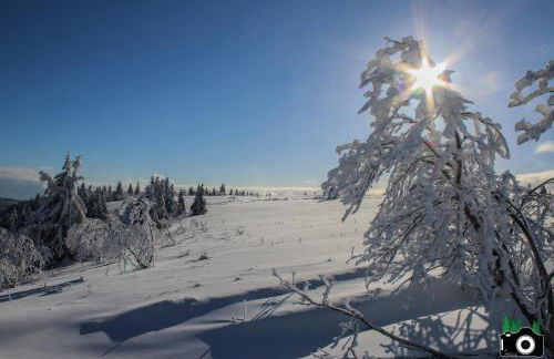 L'Atypique Vosgien - Foto 21