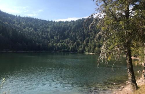 Cozy chalet in the Vosges with scenic views - Foto 19