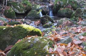 Casa Rural con encanto "Los Postigos" - Foto 100