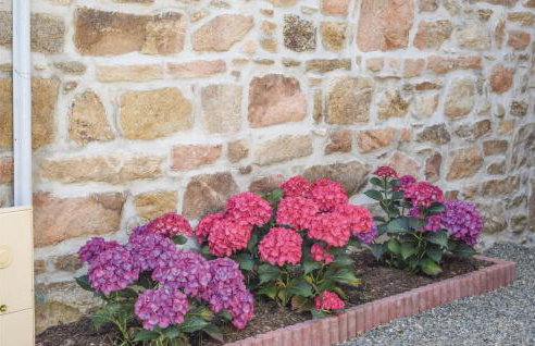 1 Bedroom Beautiful Home In Louargat - Foto 12