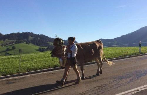 Ferienwohnung mit Aussicht im Bergdorf Steibis im Allgäu - Foto 37