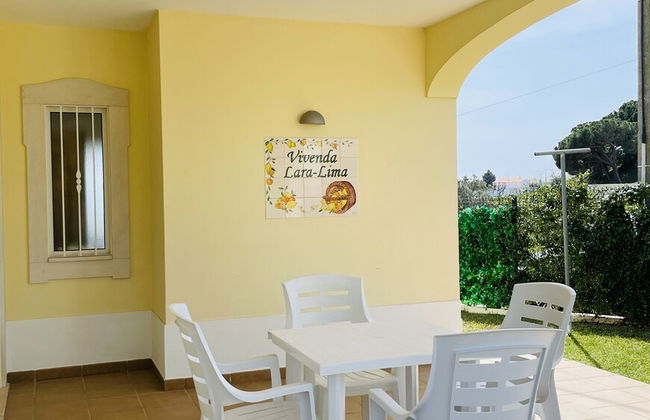 Lara Lima CIP - Photo 25