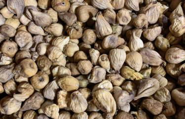 Lanzaroco, tu casa en La Vera - Foto 26