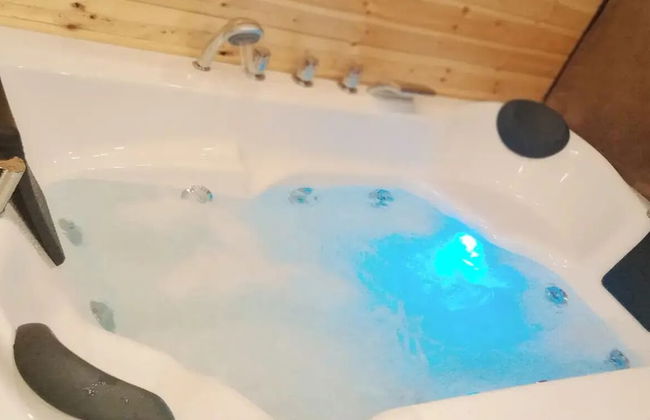 orchid huts - Photo 33