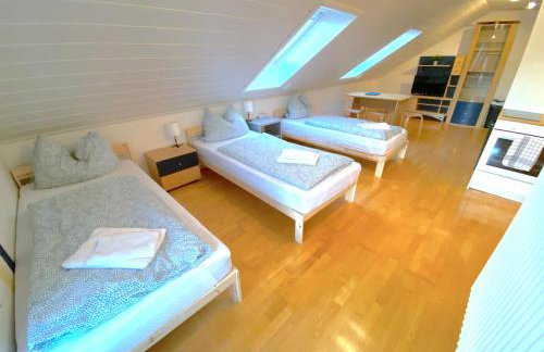 V Apartment 4 Personen - Monteurzimmer - Ferienwohnung - Kronwieden - Foto 8