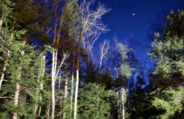Incredible Modern Tiny Log Cabin near the Ammonoosuc River for a Romantic Getaway in New Hampshire - Foto 13