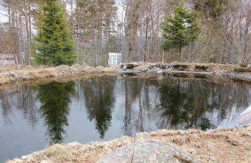 Apartements 270-275 Mitterdorf - Foto 22