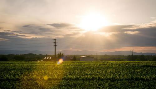 Ferienwohnen im Ziegelfeld - Foto 2