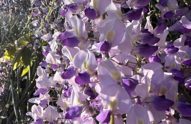 Casa Milladoiro - Foto 20