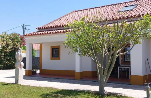 MirArte - Photo 98