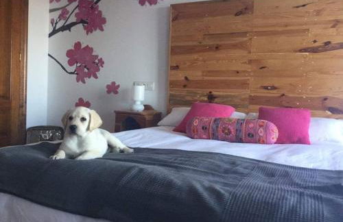 La Casa Viva. Alojamiento responsable y sostenible. - Foto 22