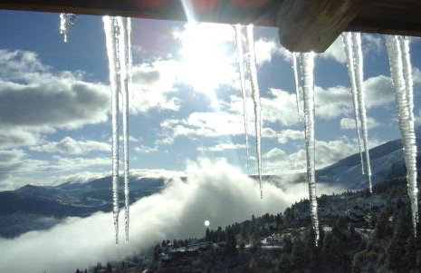 Arli House - Photo 37