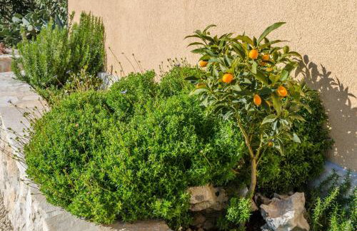 Holiday Villa Andro - Photo 48