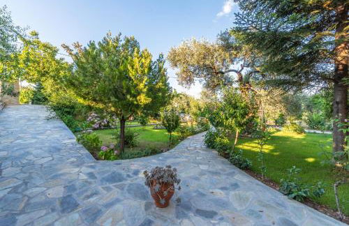 Studios Vasilia - Foto 12