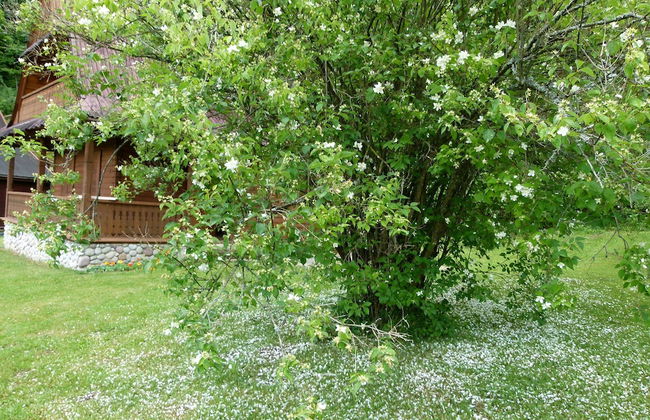 Drewniany Domek BB Nad Rzeka - Foto 16