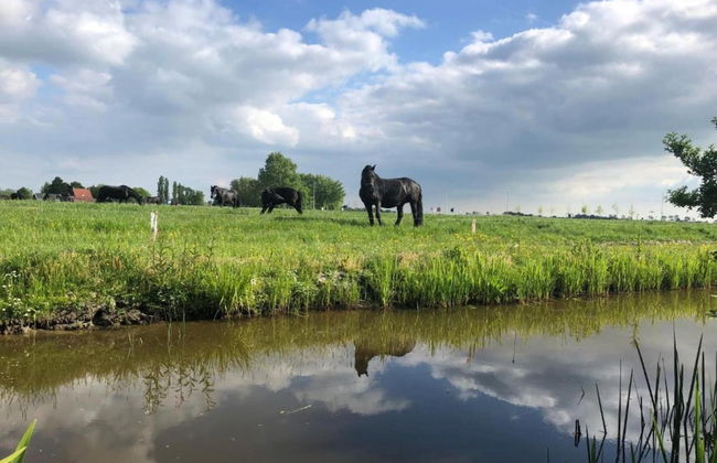 Cottage in Menaam Near Frisian Landscape - Foto 31