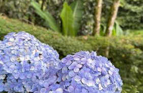 Chalé da Cachoeira - Cachoeira particular dentro da hospedagem - Foto 76