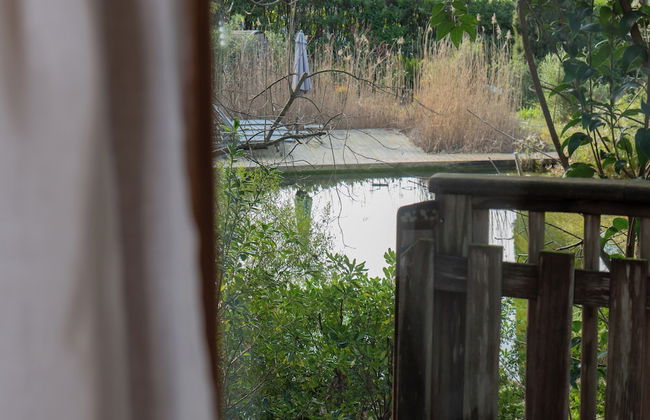 Orion Tree houses - Foto 42