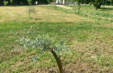 Clos Augusta 2 - Foto 18