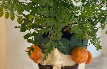 Old Farmhouse Cottage - Foto 12