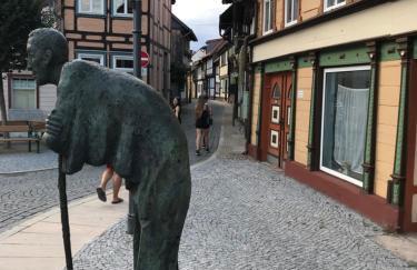 Ferienhaus Harzinsel - Foto 19