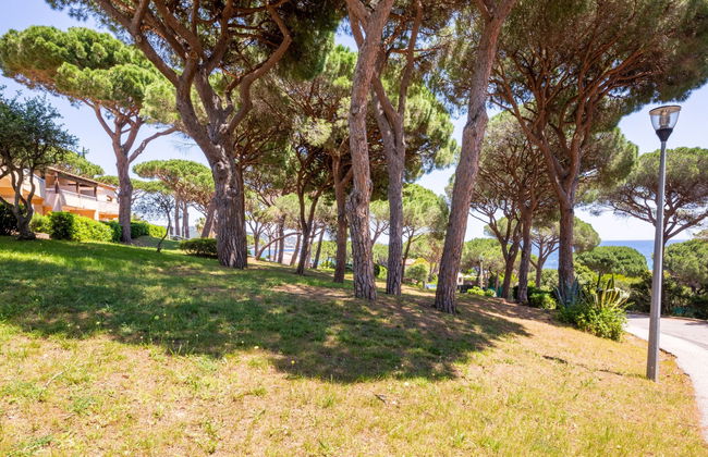 Les Coteaux de la Nartelle - Foto 19