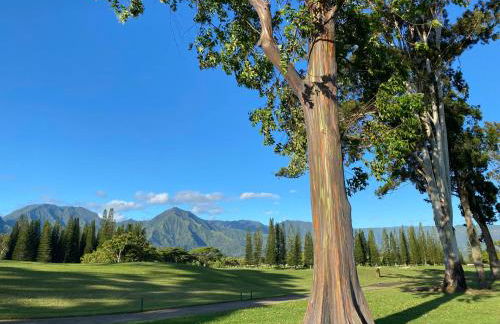 Puu Poa Ocean Bluff Condo, Incredible Views, Walk to Beaches, Pool & Tennis - Foto 49