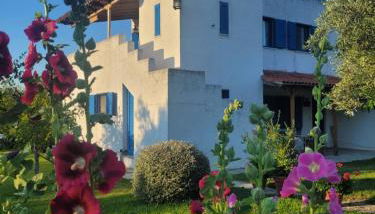 Beachfront cottage house in olive grove - Foto 4