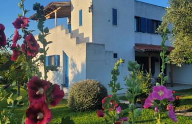 Beachfront cottage house in olive grove - Foto 4