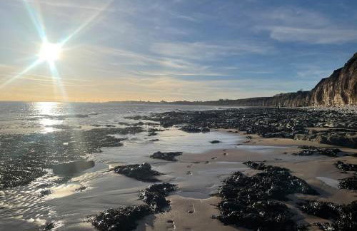 Newton house - Foto 42