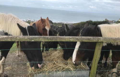Beautiful Wales - Foto 95