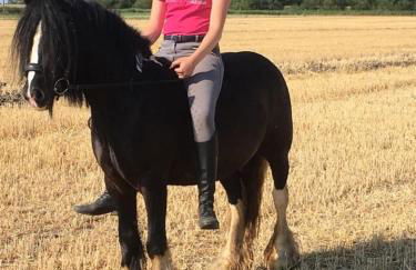 Apfelgartenhaus 3 - Foto 11