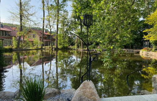 Ferienhaus Ilsenburg, luxuriöse Landhäuser mit Sauna und Kamin, mitten im Harz - Foto 35