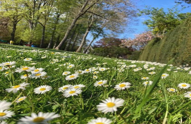 Royas Home Private Studio - Photo 30