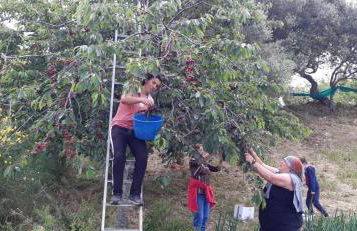 Agriturismo Gli Antichi Sapori - con stazione di ricarica veicoli elettrici - Foto 51