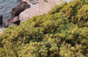 Sea Sicily View - Foto 15