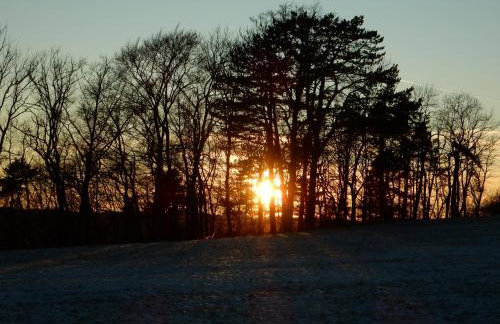 Haus Kellenburg - Foto 46