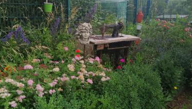 Haus Bernsteinchen - Foto 3, Garden