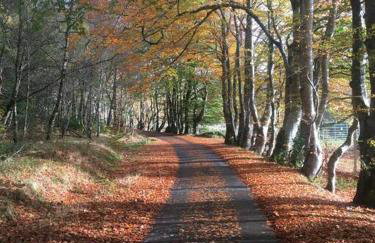 The Neuk Achmore Plockton - Foto 27