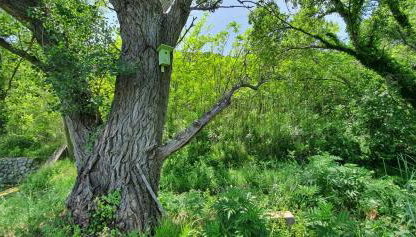 SWIM and CLIMB BAŠKA HOLIDAY HOUSE - island KRK - Foto 5, Garden