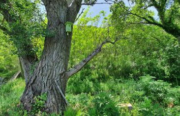 SWIM and CLIMB BAŠKA HOLIDAY HOUSE - island KRK - Foto 5