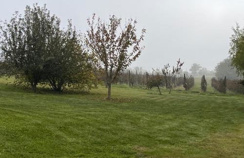 Al Vigneto - Photo 10