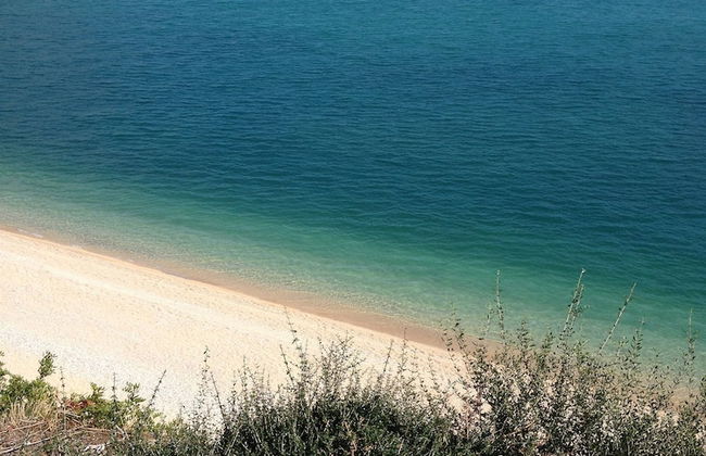 B&B Lido dei Pini - Photo 30