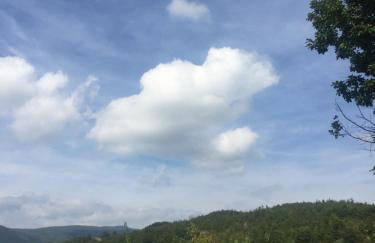 Società Agricola Cacigolara - Photo 73